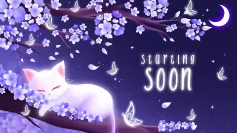 Sassy Sami Kittyn online show from 2, 12, 2025