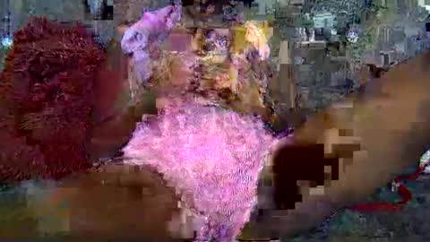 savagetonguee online show from 23, 12, 2025