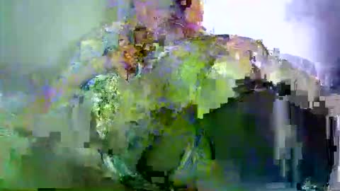 savagetonguee online show from 29, 3, 2026