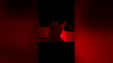 Snapshot of sbsesh chatting on 14, 2, 2026 sbsesh online show from 14, 2, 2026