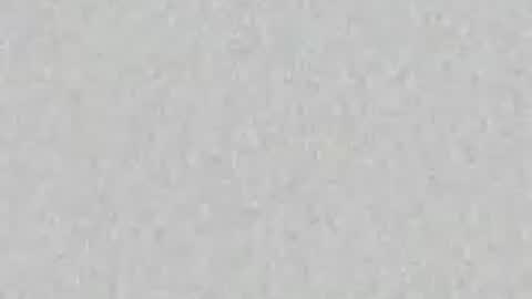 Snapshot of scalertt__steel_ chatting on 7, 7, 2026 Venus online show from 7, 7, 2026