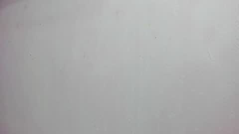 Scarlett 3 online show from 14, 11, 2025