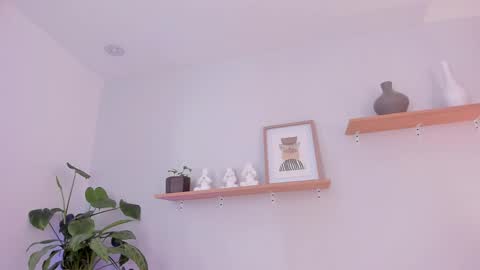 Scarlett Morgan online show from 28, 2, 2025