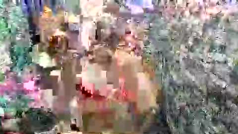 Snapshot of scarlettee_mistress chatting on 27, 4, 2026 SCAS ANGEL S online show from 27, 4, 2026