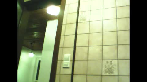 schnibschnab online show from 30, 11, 2025