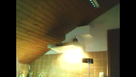 schnibschnab online show from 26, 2, 2026