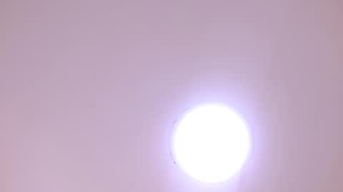 Snapshot of scottdamar chatting on 8, 1, 2026 Damar online show from 8, 1, 2026