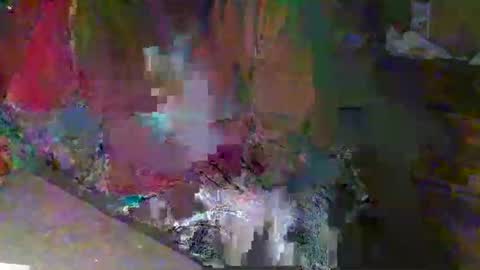 scotthard online show from 23, 11, 2025