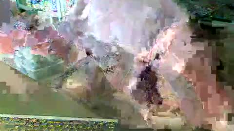 scotthard online show from 14, 3, 2026