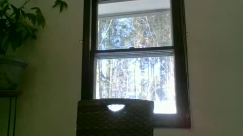 Snapshot of scottpbi52 chatting on 22, 1, 2025 scottpbi52 online show from 22, 1, 2025