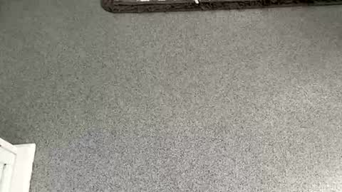 Snapshot of scottyc48 chatting on 8, 11, 2025 scottyc48 online show from 8, 11, 2025