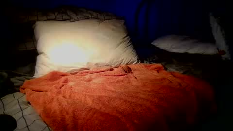 Snapshot of sdseventy chatting on 22, 2, 2026 ObvHype online show from 22, 2, 2026