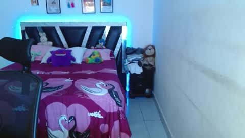 Snapshot of sebasxxl12 chatting on 26, 2, 2026 Sebas online show from 26, 2, 2026