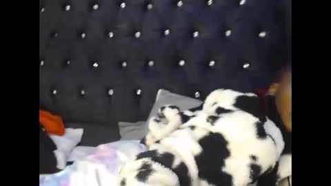 Snapshot of sebatrishaa chatting on 23, 10, 2025 sebatrishaa online show from 23, 10, 2025