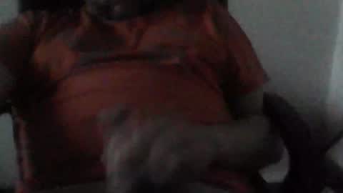 sebo123456 online show from 25, 12, 2024