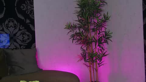 SelenaDream online show from 13, 5, 2026