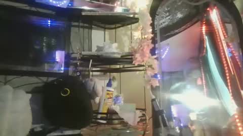 sequoia8888 online show from 29, 10, 2025