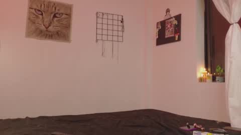 Alexis online show from 5, 11, 2025