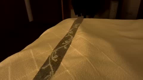 Snapshot of sevenorder chatting on 24, 1, 2025 sevenorder online show from 24, 1, 2025