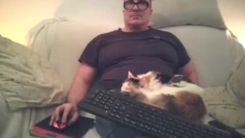 Sexurbation online show from 17, 11, 2025