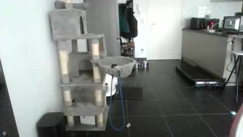 Snapshot of sexy866880 chatting on 17, 2, 2026 sexy53 online show from 17, 2, 2026