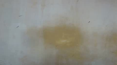 Snapshot of sexy_candy9 chatting on 11, 11, 2025 sexy_candy9 online show from 11, 11, 2025