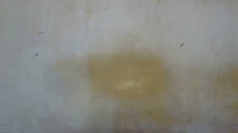 Snapshot of sexy_candy9 chatting on 12, 11, 2025 sexy_candy9 online show from 12, 11, 2025