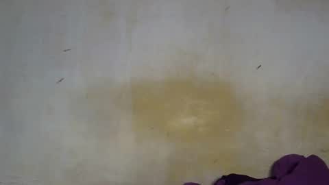 Snapshot of sexy_candy9 chatting on 4, 12, 2025 sexy_candy9 online show from 4, 12, 2025