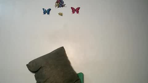 Luna online show from 22, 11, 2025