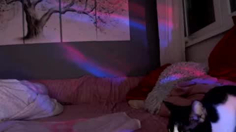     .... ............ Onlyfans   online show from 22, 3, 2026