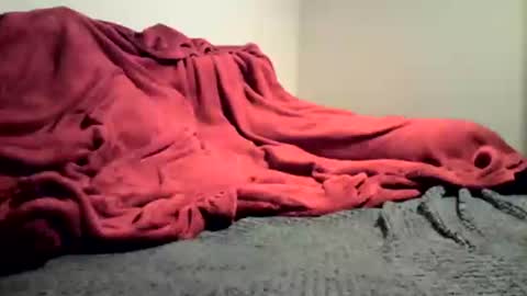 sexygg8331 online show from 16, 12, 2024