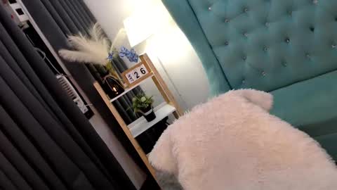 JENNY online show from 26, 1, 2025