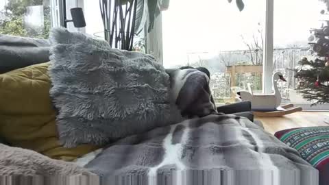 sexylover81ch online show from 21, 12, 2025