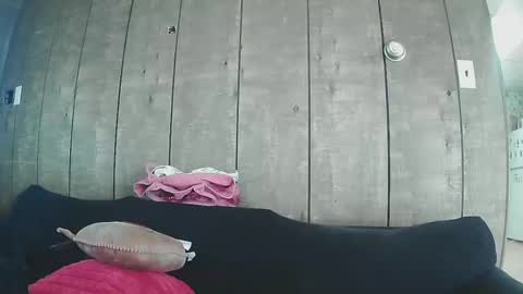 sexystripper69 online show from 19, 2, 2025