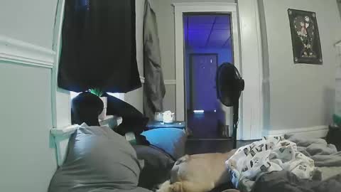 sexystripper69 online show from 11, 5, 2026