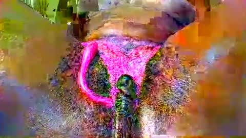 sexyy_pussy4147 online show from 13, 5, 2026