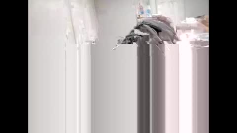 Snapshot of shagnasty95 chatting on 9, 4, 2026 shagnasty95 online show from 9, 4, 2026