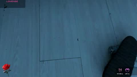 Shantall Miller online show from 31, 5, 2026