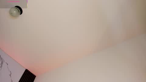 Snapshot of shaunadream_ chatting on 19, 2, 2026 Shauna online show from 19, 2, 2026