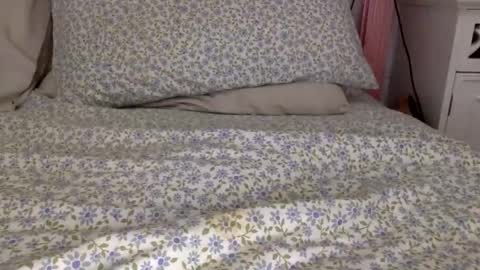 Snapshot of shavednsw chatting on 28, 3, 2026 shavednsw online show from 28, 3, 2026