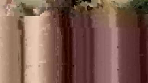 Snapshot of sheablo33 chatting on 17, 12, 2025 sheablo33 online show from 17, 12, 2025