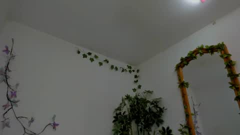 Shego  online show from 6, 7, 2026