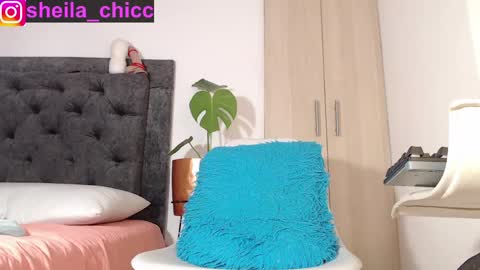 Snapshot of sheila_bigcok chatting on 6, 5, 2026 SHEILA online show from 6, 5, 2026