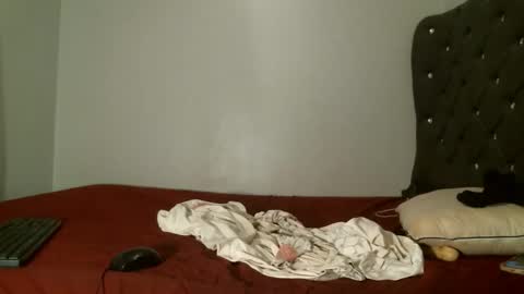 Shi-ro online show from 7, 2, 2026