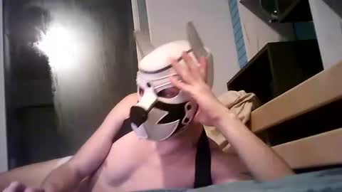 shirogane2004 online show from 7, 1, 2026