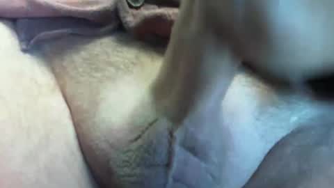 Snapshot of shoot4u2803 chatting on 13, 2, 2026 Shoot4u online show from 13, 2, 2026