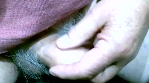 shootertog online show from 13, 10, 2025