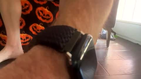 Snapshot of shortshortsman chatting on 8, 10, 2025 shortshortsman online show from 8, 10, 2025