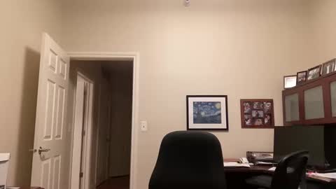 Snapshot of showmet chatting on 16, 2, 2025 Chicago Guy online show from 16, 2, 2025