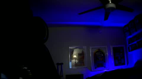 shrewtamer online show from 14, 12, 2024